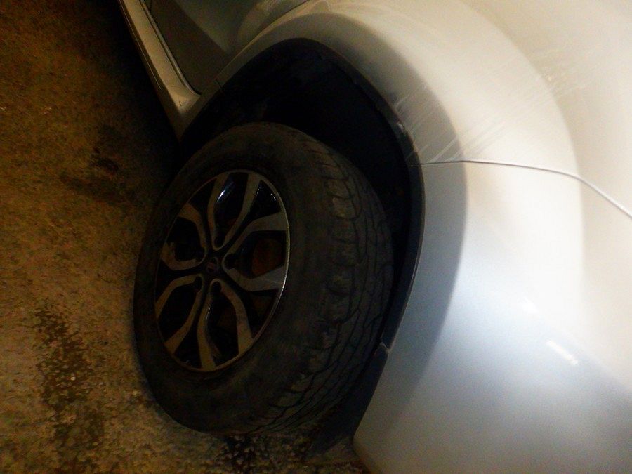 Фото Nissan Terrano 394